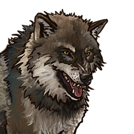 add-ons%24Trader%24images%24portraits%24wolf.png