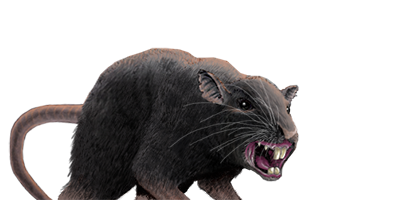 Rato Gigante - Wesnoth Units Database